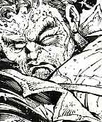 Wildcat- DCU Heroes Secret Files. Pencils by Sergio Cariello. Inks by Danni Miki. &copy;DC Comics.